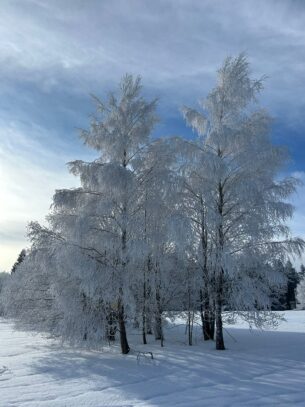 WhatsApp Image 2026-01-24 at 12.59.21 (2)