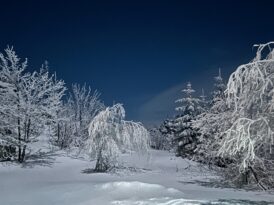Gruppen Nachtwanderung