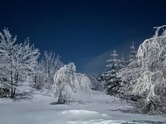 Gruppen Nachtwanderung