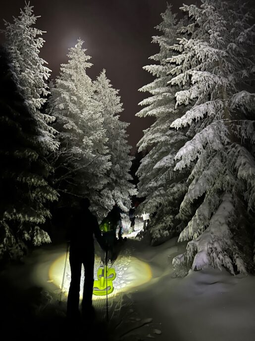 Winterstimmung in der Nacht